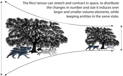 The Ricci tensor